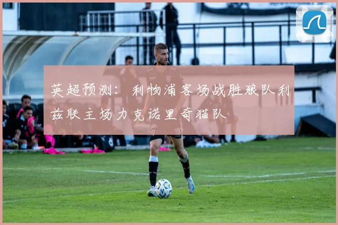 英超预测：利物浦客场战胜狼队利兹联主场力克诺里奇猫队