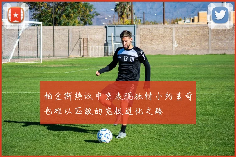 帕金斯热议申京表现独特小约基奇也难以匹敌的究极进化之路