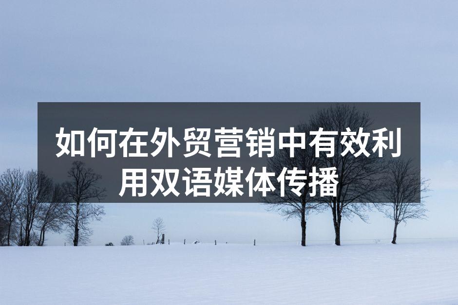 如何在外贸营销中有效利用双语媒体传播