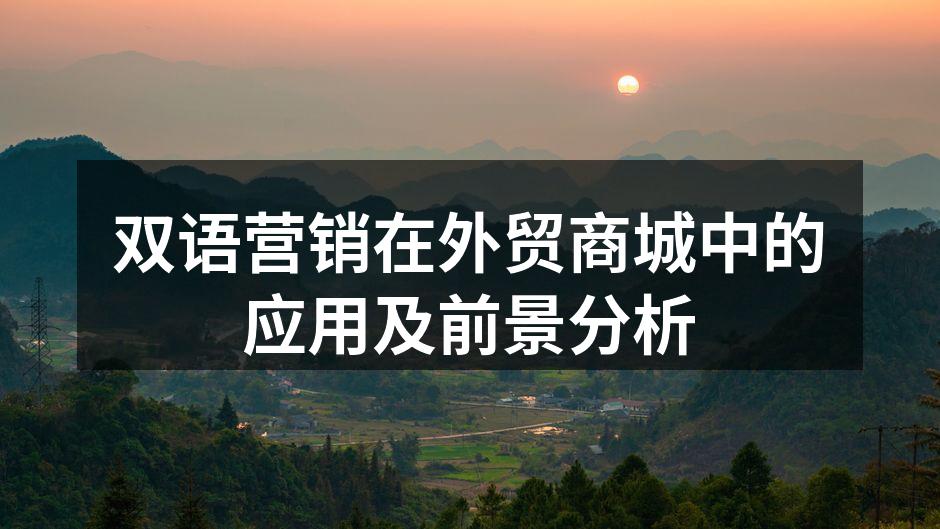 双语营销在外贸商城中的应用及前景分析