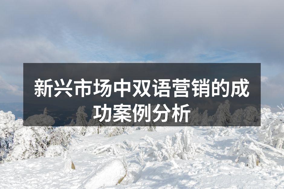 新兴市场中双语营销的成功案例分析