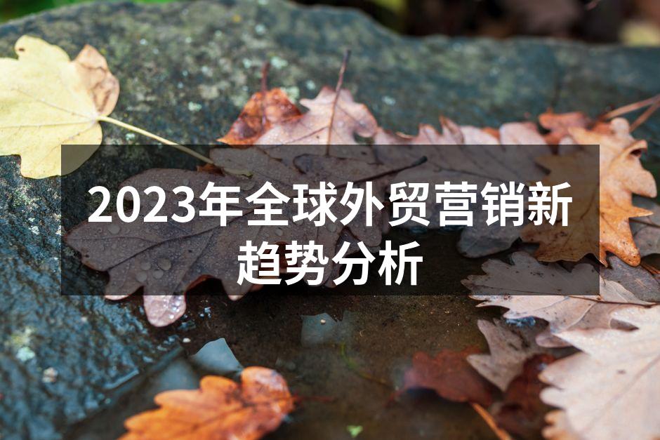 2023年全球外贸营销新趋势分析