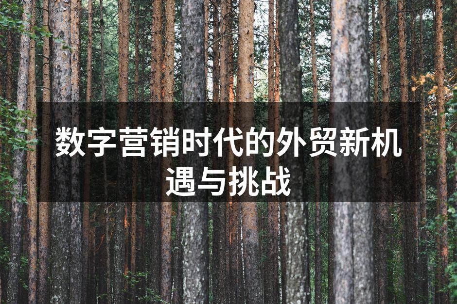 数字营销时代的外贸新机遇与挑战